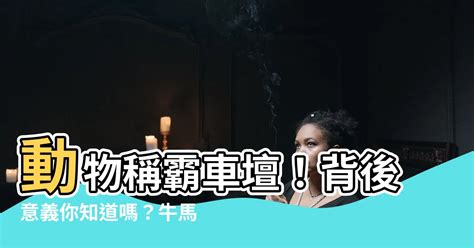 牛馬蛙意思|牛馬蛙是什麼意思？探討這一台灣獨特詞彙的來源與意義